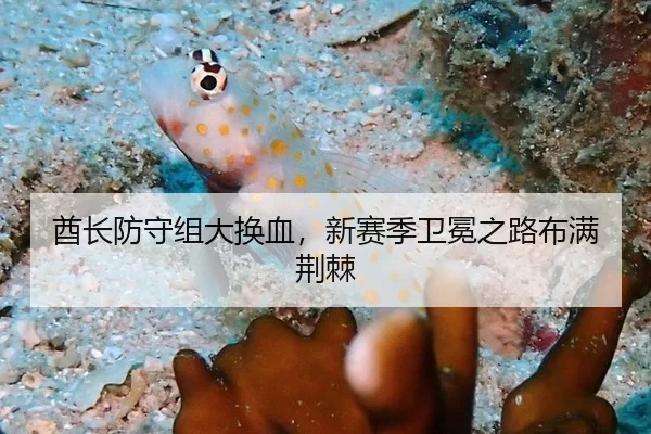 酋长防守组大换血，新赛季卫冕之路布满荆棘