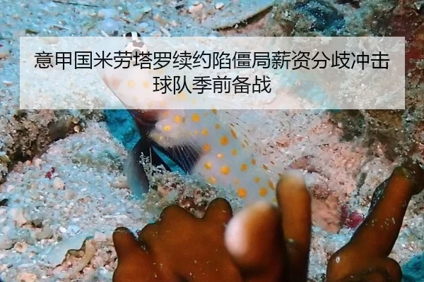 意甲国米劳塔罗续约陷僵局薪资分歧冲击球队季前备战
