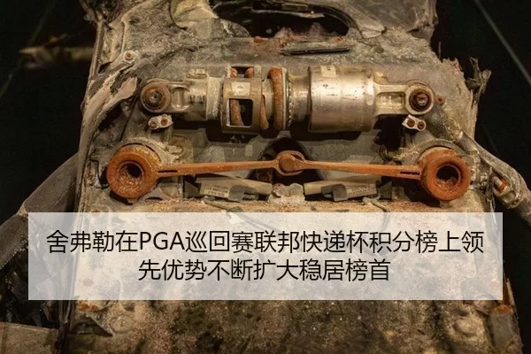舍弗勒在PGA巡回赛联邦快递杯积分榜上领先优势不断扩大稳居榜首